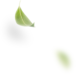 Orbito