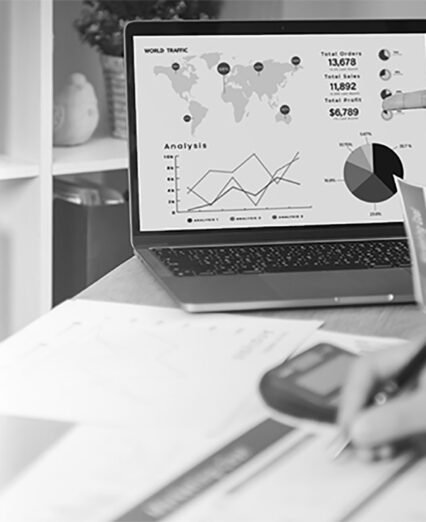 Data Analytics & Insights
