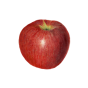 Chinese Red Apple