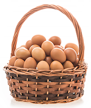 Egg Basket 2kg