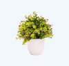 Biloz Ceramic Flower Pot